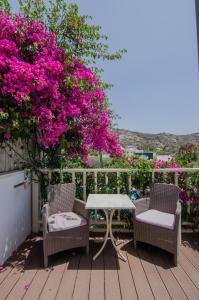 Corali Hotel Beach Front Property Ios Greece