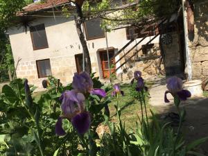 Art Villa Orlova Chuka
