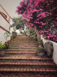 Locanda Tipica Sa Corte img43