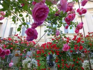 Residenza Dutzu-Boutique Hotel