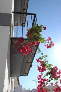 One-Bedroom Apartment (2 Adults + 2 Children) room in Apartamentos El Tranco del Mar