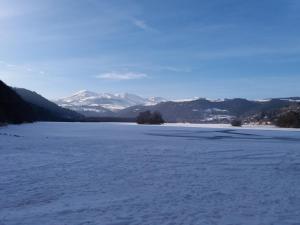 Appartements studio aux pieds des pistes : photos des chambres