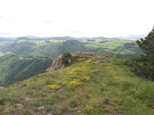 Appartements studio aux pieds des pistes : photos des chambres