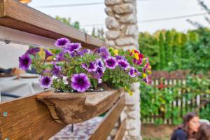 The Weekend House - Zsóry