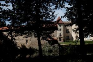 B&B / Chambres d'hotes Chateau des Martinanches : photos des chambres