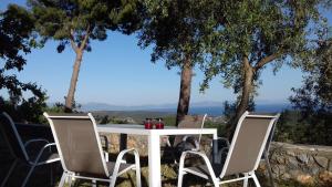 Olea Escape Villa in an Olive Estate