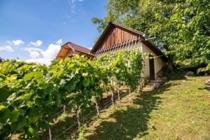 Vineyard Cottage Pod Piramido 