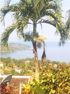 My-Places Montego Bay Vacation Home