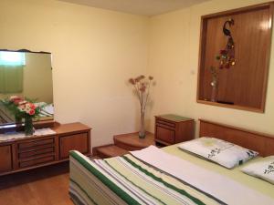Apartment Popona