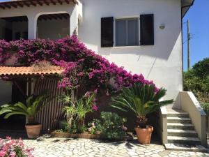 A casa di Enrico B&B