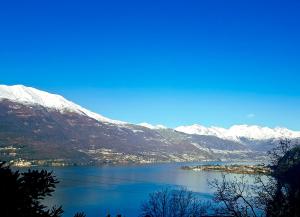 LA VISTA by Design Studio