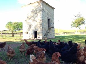 Hotels Domaine de Rymska & Spa - Relais & Chateaux : photos des chambres