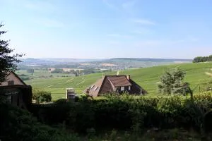 Le Sarment - HAUTVILLERS - Champillon