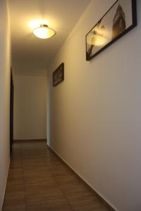 Casa Ianis