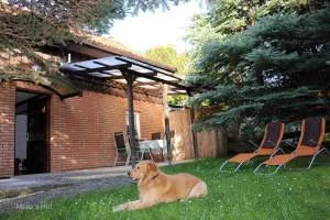 Rotkäppchen - Speck