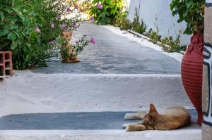 Christina Rooms Milos Greece