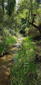 Agnanti Hostel Evia Greece