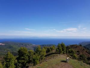 Agnanti Hostel Evia Greece