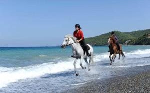 Agnanti Hostel Evia Greece