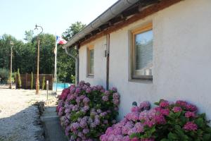 Lodges La Petite Ferme du Marais : photos des chambres