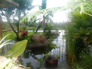 Bali Beach Eco Villas Pondok Matekap