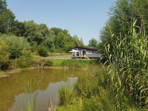 Lodges Lodge : photos des chambres