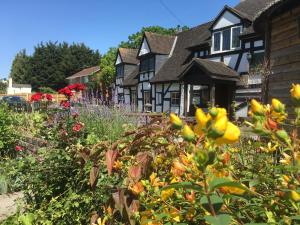 3 hvězdičkový penzion The Thatch Inn Gloucester Velká Británie