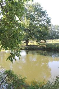 Lodges La Petite Ferme du Marais : photos des chambres