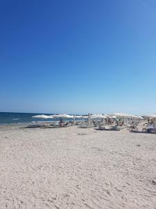 MG Apartment Mamaia Nord