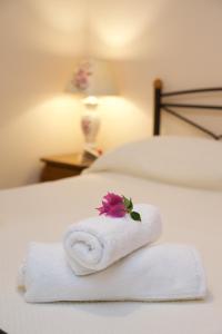 Apollon Apartment In Argostoli