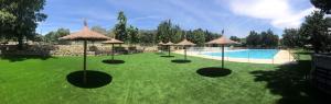 Camping Pico De La Miel