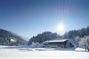 Chata Getznerhof Westendorf Rakousko