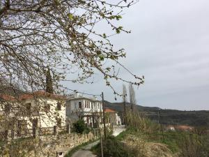 Aethri Pelion Suites