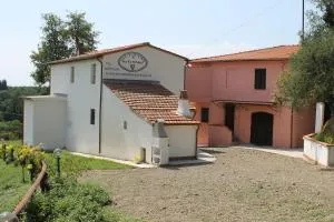 Agriturismo Il Maremmano - Spinelli