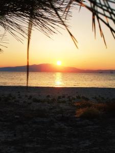 BLEU- VERT Thassos Greece