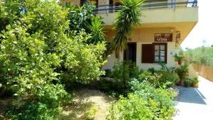 Katerina Palaiochora - Ánidhroi