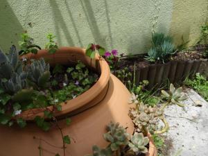 Jardin dOlisipo - Centre Ville