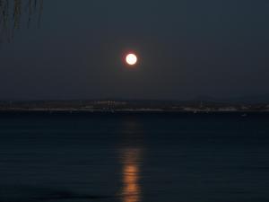 Theoxenia Chios Chios-Island Greece