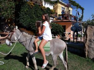 B&B Is Murdegus img11