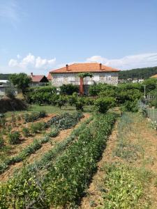 Apartman Stipe
