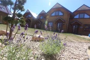 Sosnowe Domki - Rewal