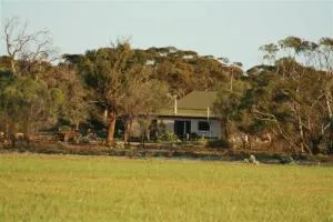 Sandalmere Cottage - Morgan