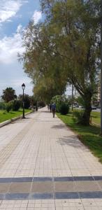 Perfect BeachFront Apartment