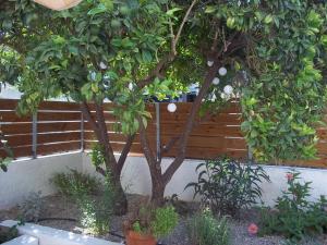 Dione apartment Lefkada Greece