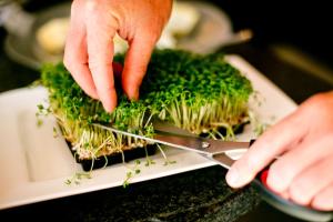 Hotel Birkenhof am See