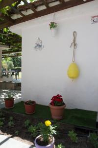 Theramvos Studios by Thomas