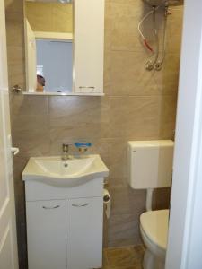 Apartman MajaS 