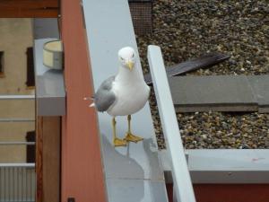 Sejours chez l'habitant 