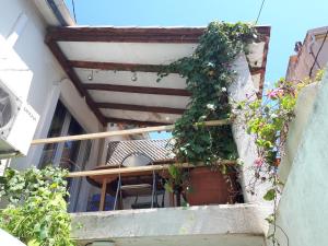 Maison de Ville photo 24