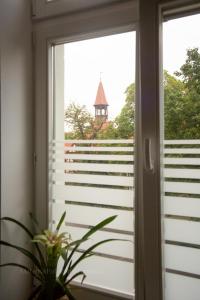 Apartament Orchidea Centrum